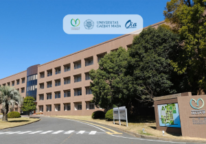 [Japan] Yamaguchi University – Japanese Government (Monbukagakusho ...